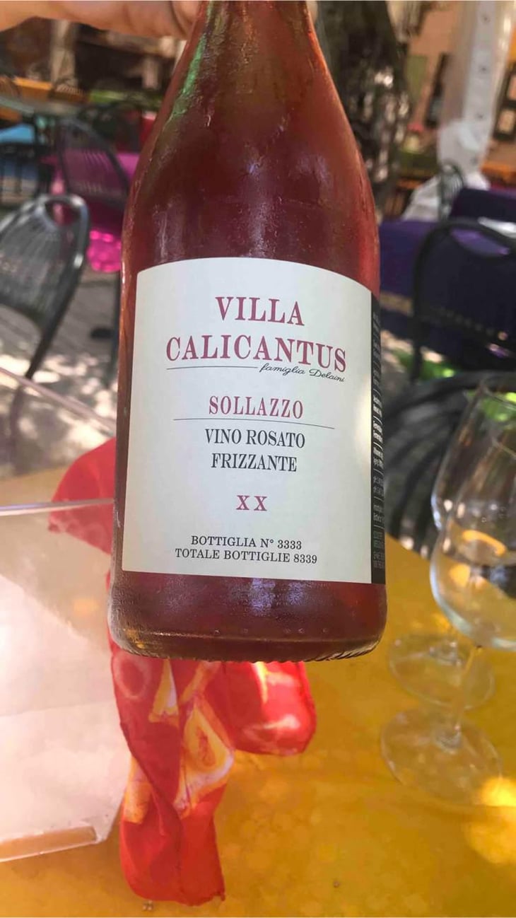 SOLLAZZO - Villa Calicantus - Daniele e Chiara Delaini 
