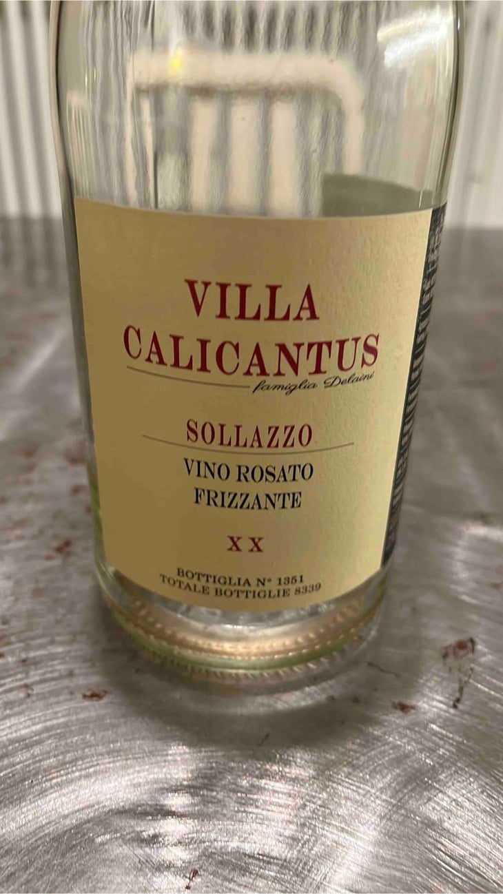 SOLLAZZO - Villa Calicantus - Daniele e Chiara Delaini 
