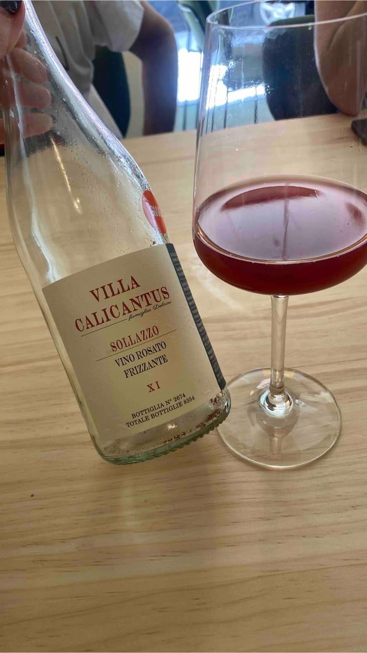 SOLLAZZO - Villa Calicantus - Daniele e Chiara Delaini 
