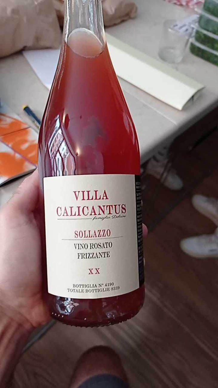 SOLLAZZO - Villa Calicantus - Daniele e Chiara Delaini 