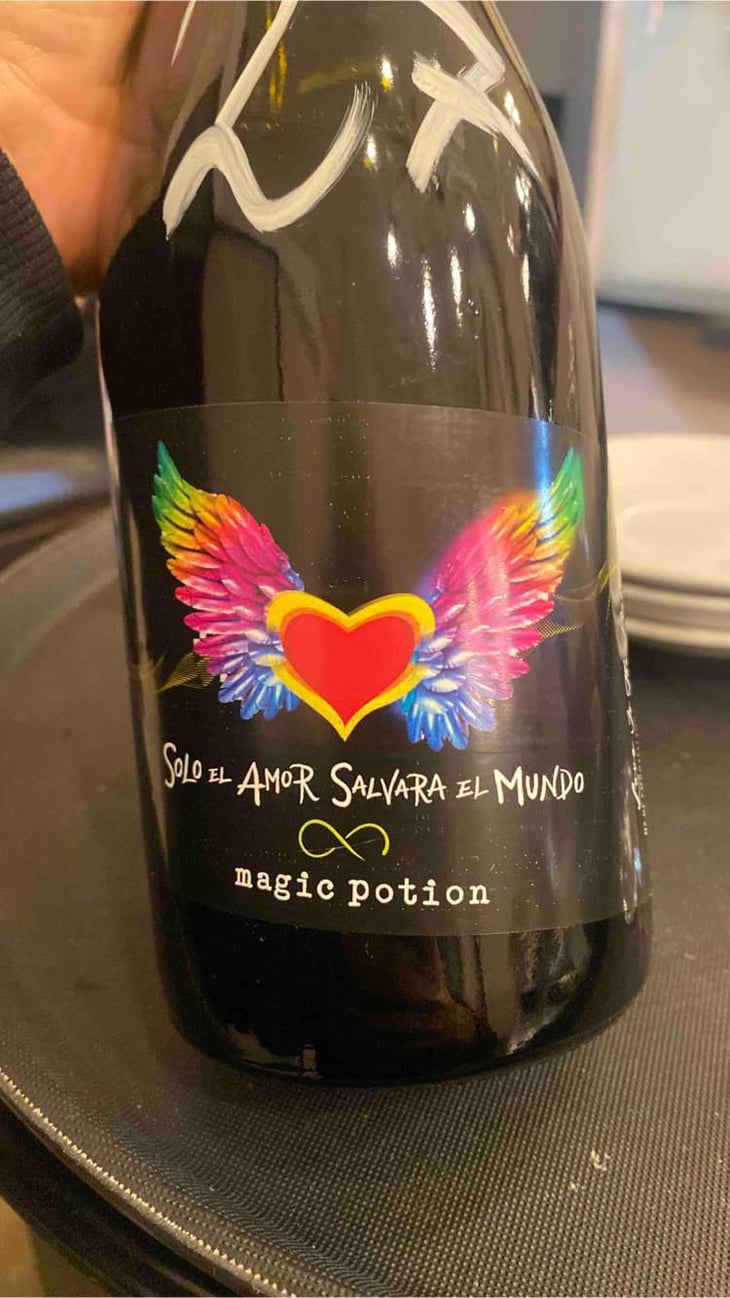 Magic Potion - Solo El Amor Salvara Al Mundo - Pablo Quiroga 