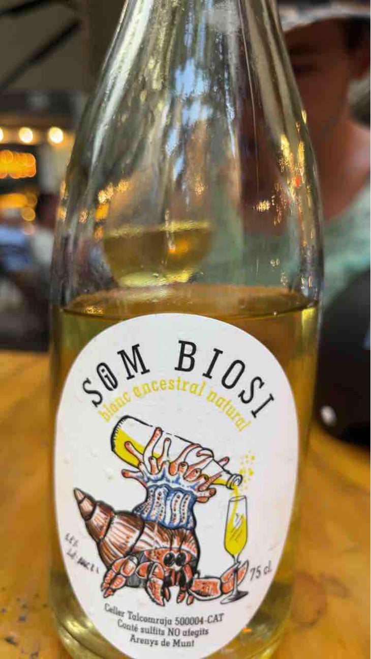 Som Biosi - Celler Talcomraja - Joan Munich Arranz 
