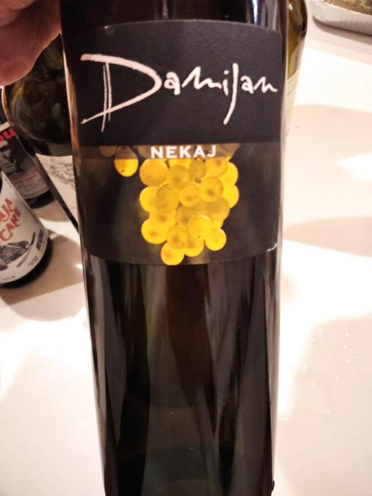 Nekaj - Damijan Podversic - Damijan Podversic 