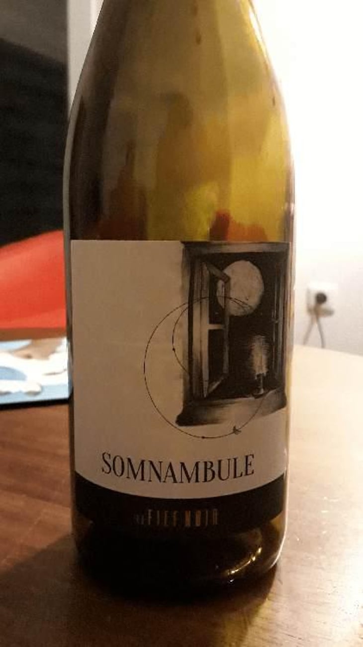 Somnambule - Le Fief Noir - Dominique Sirot & Alexis Soulas 