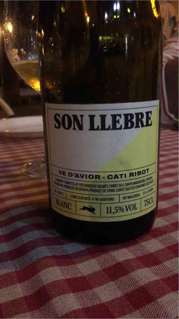 Son llebre blanc - Ve d'Avior - Cati Ribot 