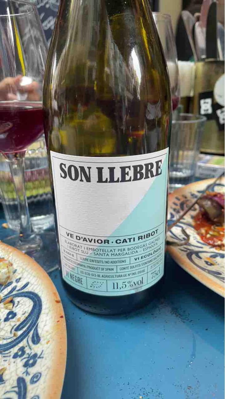Son llebre blanc - Ve d'Avior - Cati Ribot 