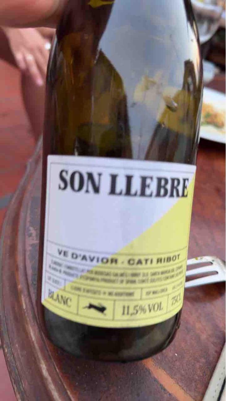 Son llebre blanc - Ve d'Avior - Cati Ribot 