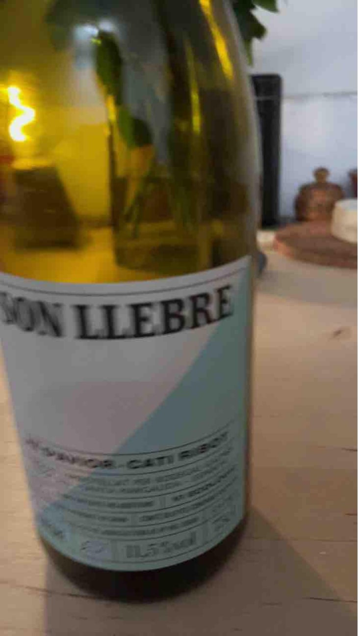 Son llebre blanc - Ve d'Avior - Cati Ribot 