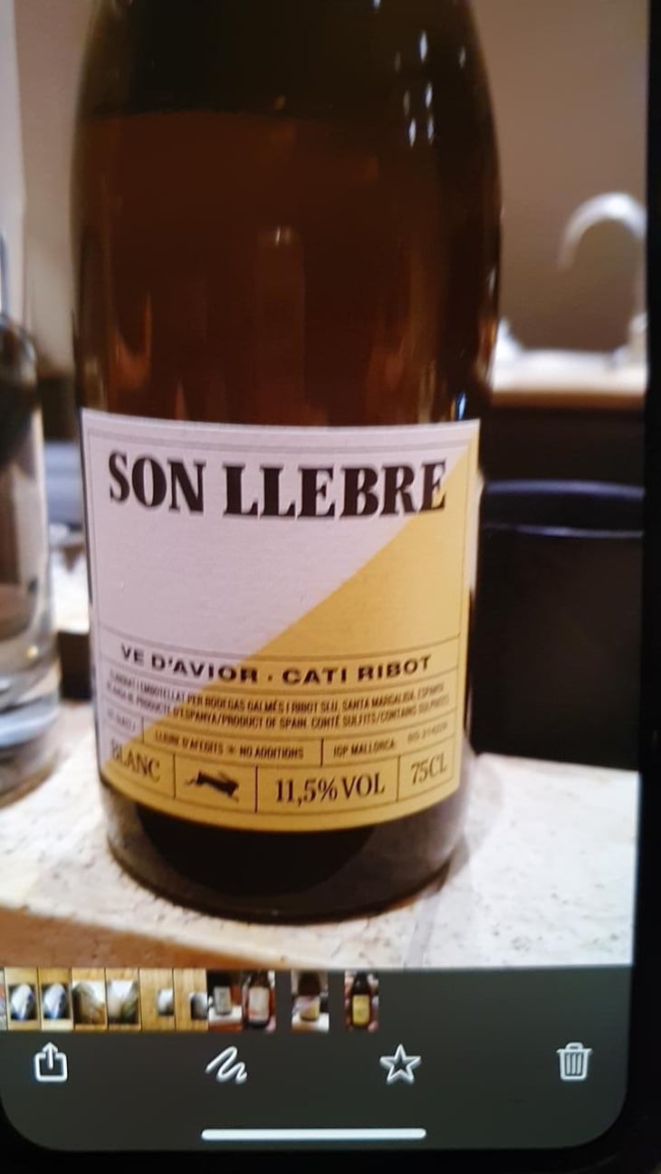 Son llebre blanc - Ve d'Avior - Cati Ribot 