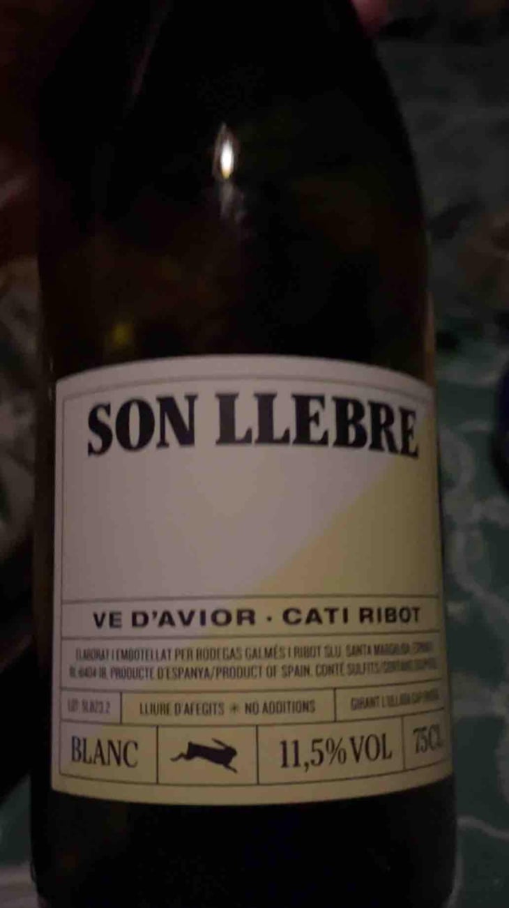 Son llebre blanc - Ve d'Avior - Cati Ribot 