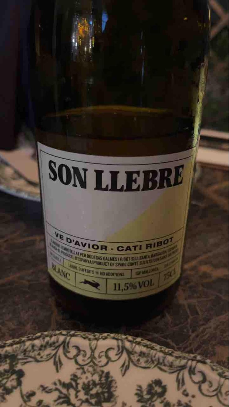 Son llebre blanc - Ve d'Avior - Cati Ribot 