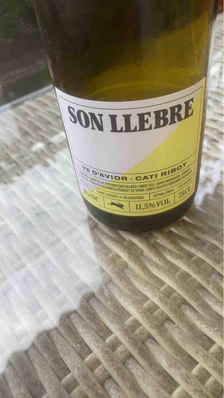 Son llebre negre - Ve d'Avior - Cati Ribot -2020