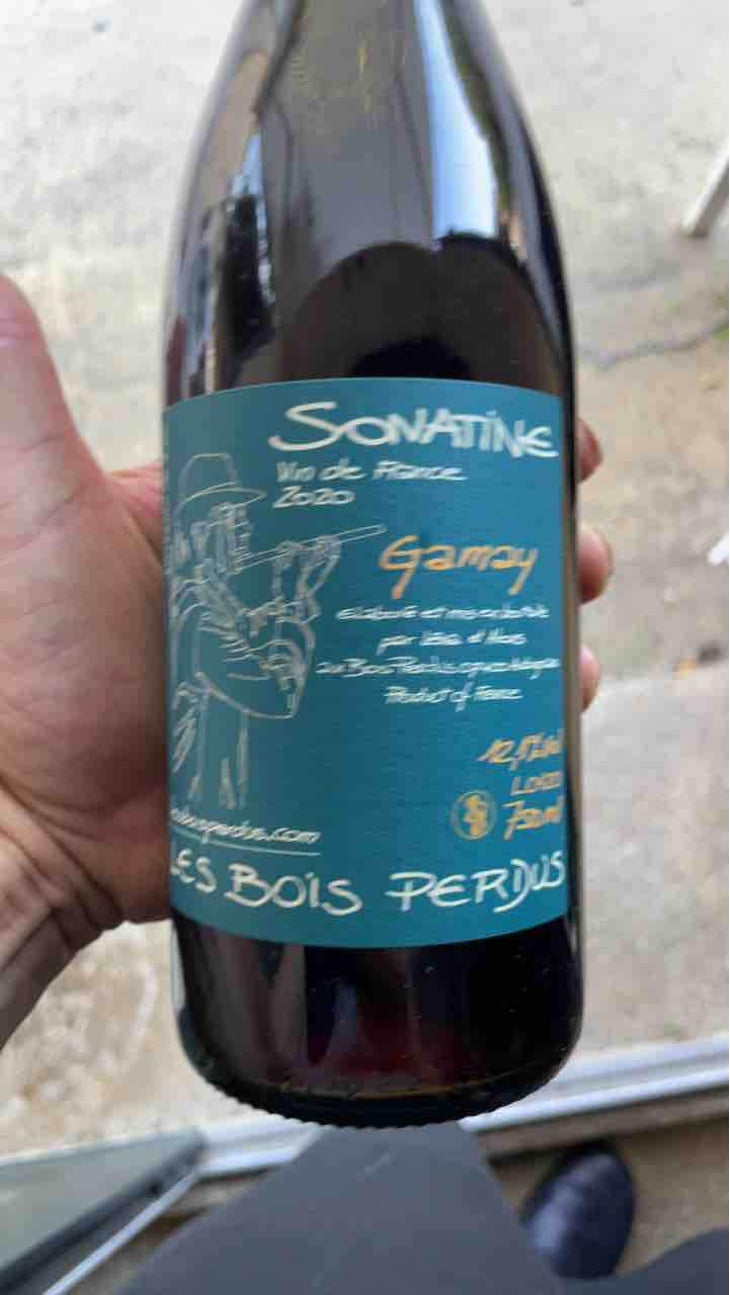 Sonatine - Les Bois Perdus - Léna Perdu & Alexis Robin 