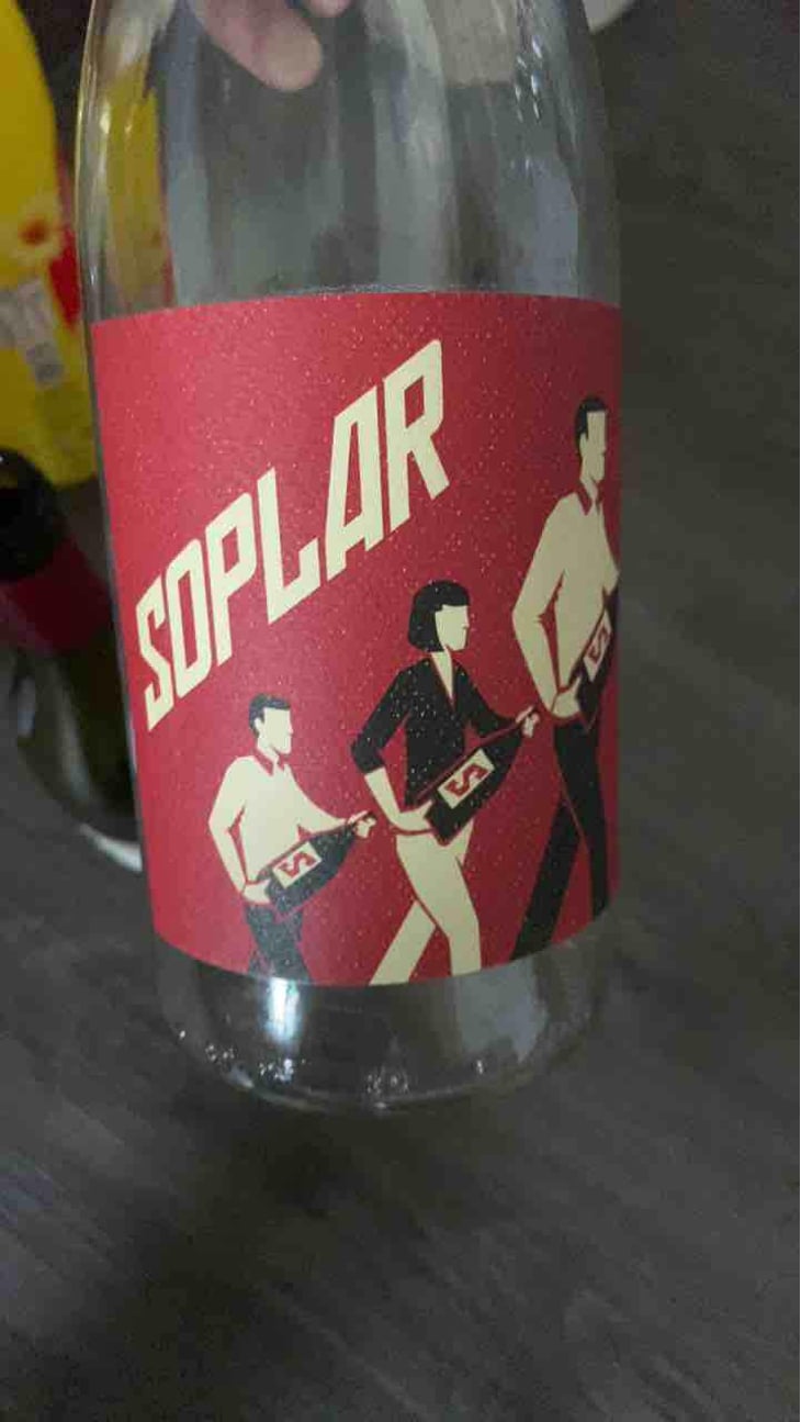 Soplar - Bodegas Moraza - Janire Moraza and Patricio Brongo -2024