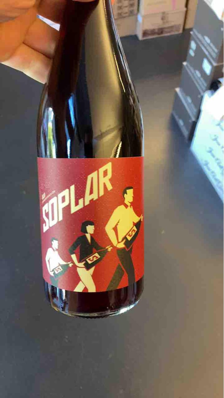 Soplar - Bodegas Moraza - Janire Moraza and Patricio Brongo -2024