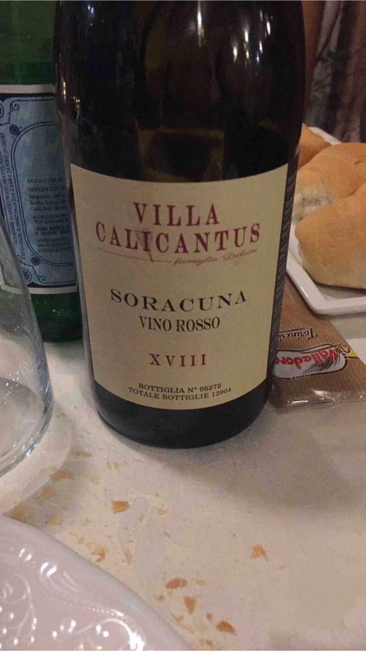 SORACUNA - Villa Calicantus - Daniele e Chiara Delaini 