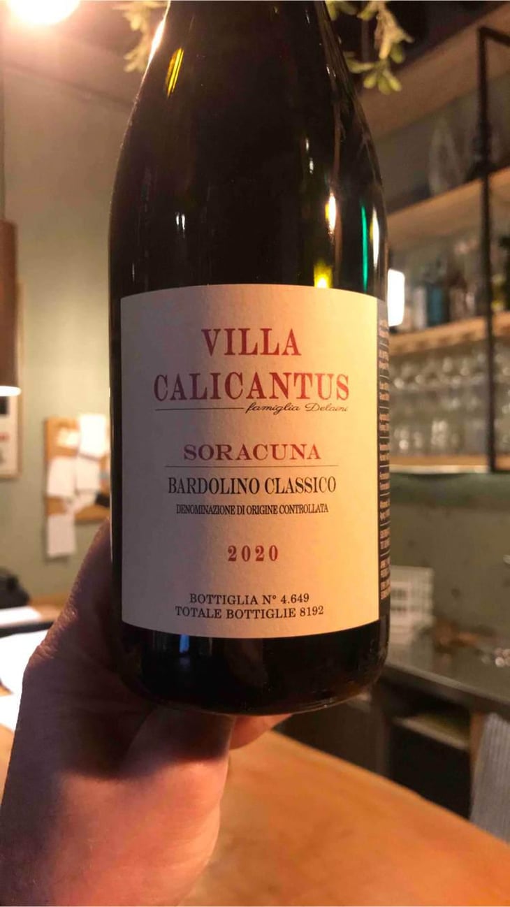 SORACUNA - Villa Calicantus - Daniele e Chiara Delaini 