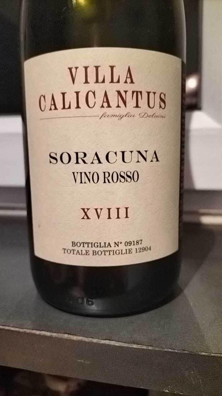 SORACUNA - Villa Calicantus - Daniele e Chiara Delaini 