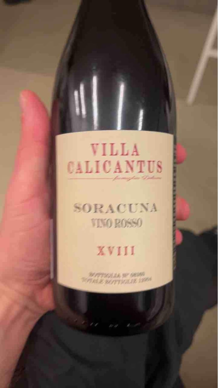 SORACUNA - Villa Calicantus - Daniele e Chiara Delaini 