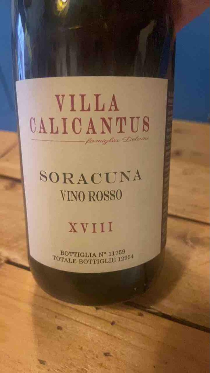 SORACUNA - Villa Calicantus - Daniele e Chiara Delaini 