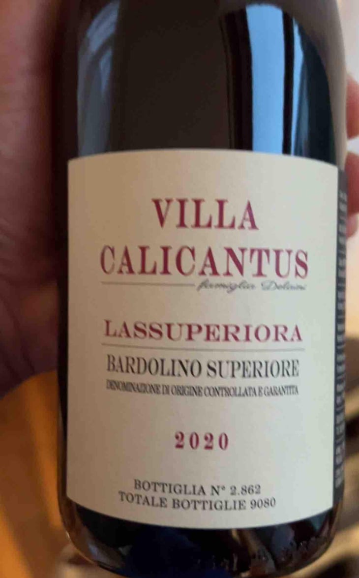 SORACUNA - Villa Calicantus - Daniele e Chiara Delaini 