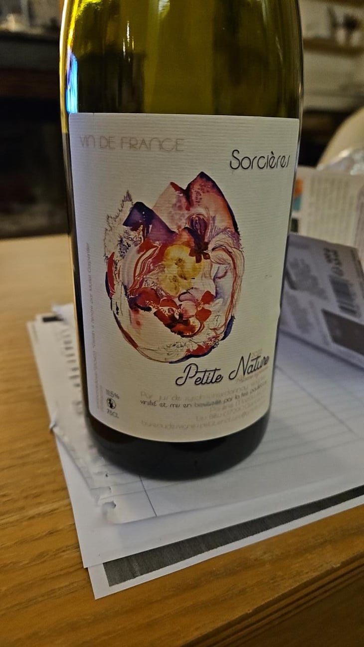 Sorcières - Petite Nature - Pauline Maziou -2021