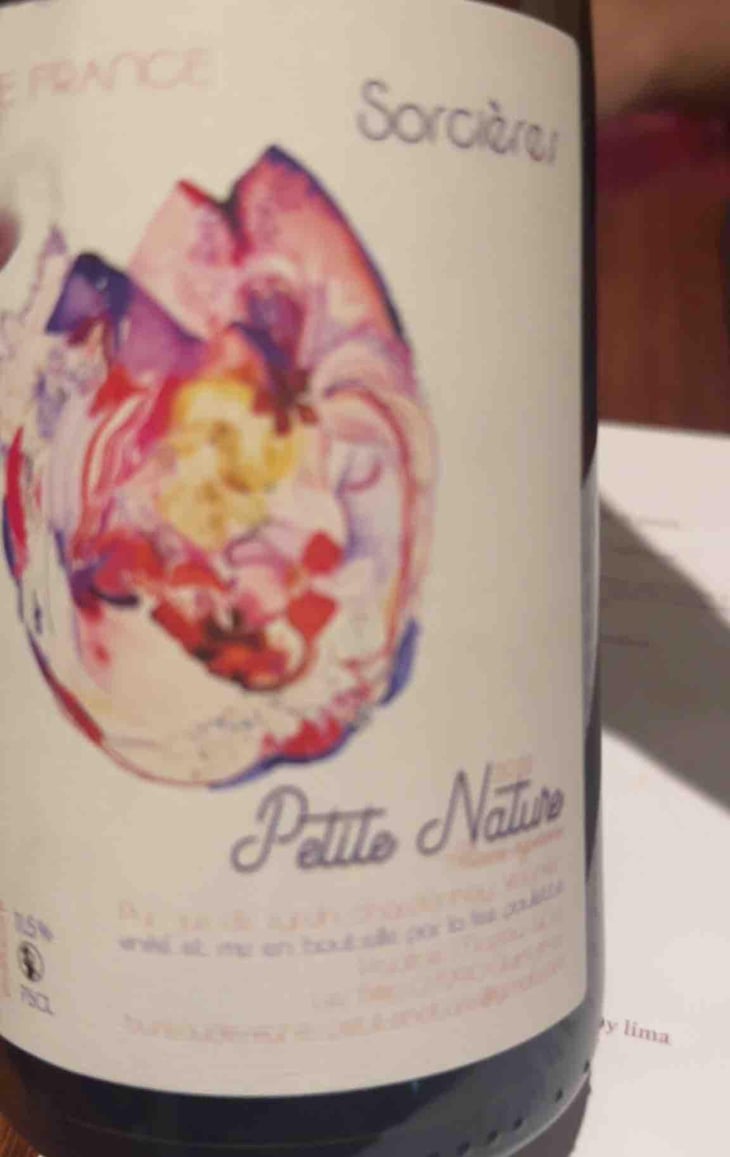 Sorcières - Petite Nature - Pauline Maziou -2021