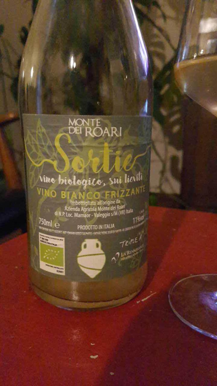 Sortie - Monte Dei Roari - Alessia Bertaiola 