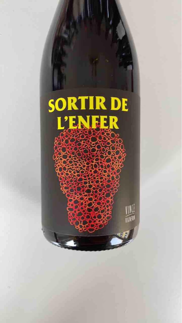 Sortir De L’Enfer - No Control - Vincent Marie 