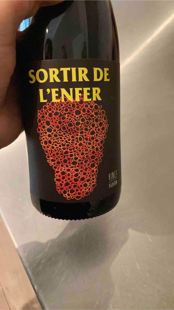 Sortir De L’Enfer - No Control - Vincent Marie 