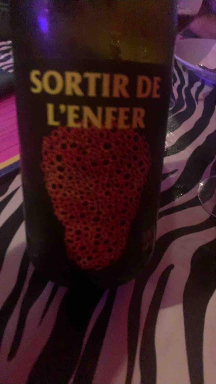 Sortir De L’Enfer - No Control - Vincent Marie 