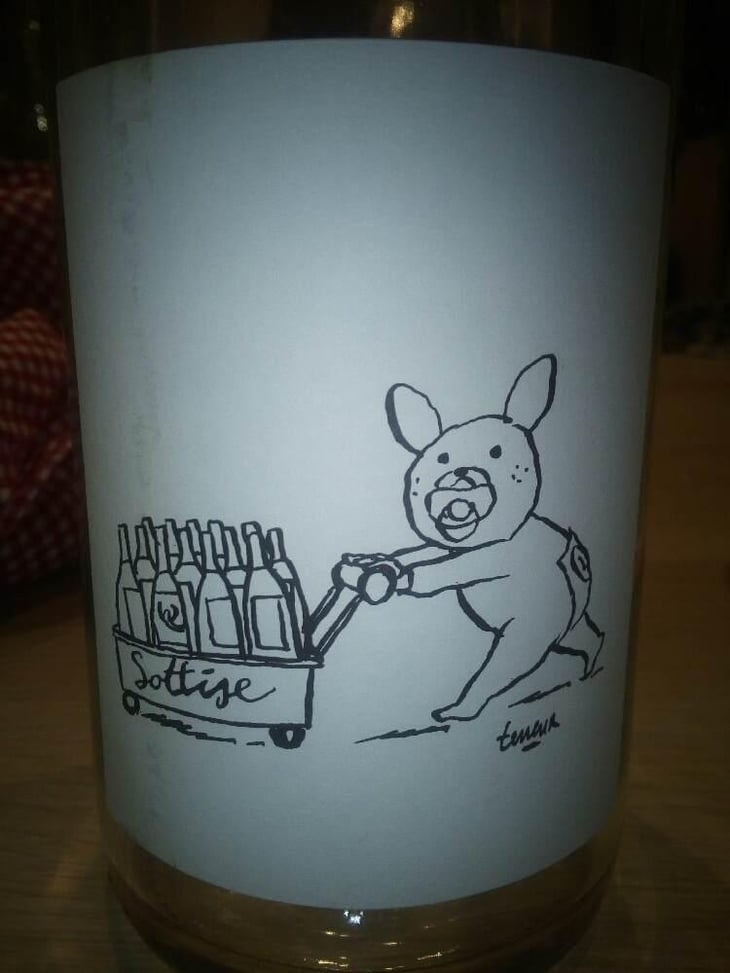 Sottise Rosé - Le Sot de l'Ange - Angélique & Quentin Bourse 