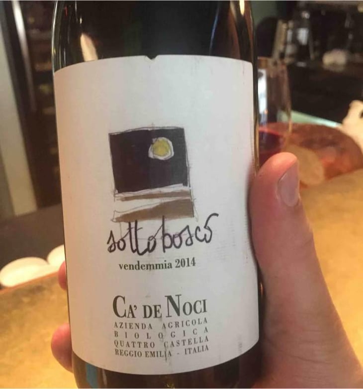 Sottobosco - Ca De Noci - Alberto & Giovanni Masini 