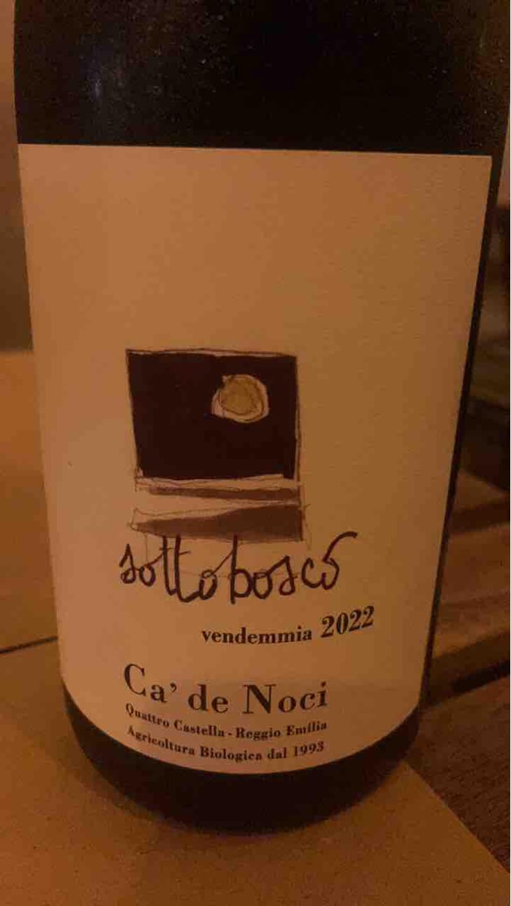 Sottobosco - Ca De Noci - Alberto & Giovanni Masini 