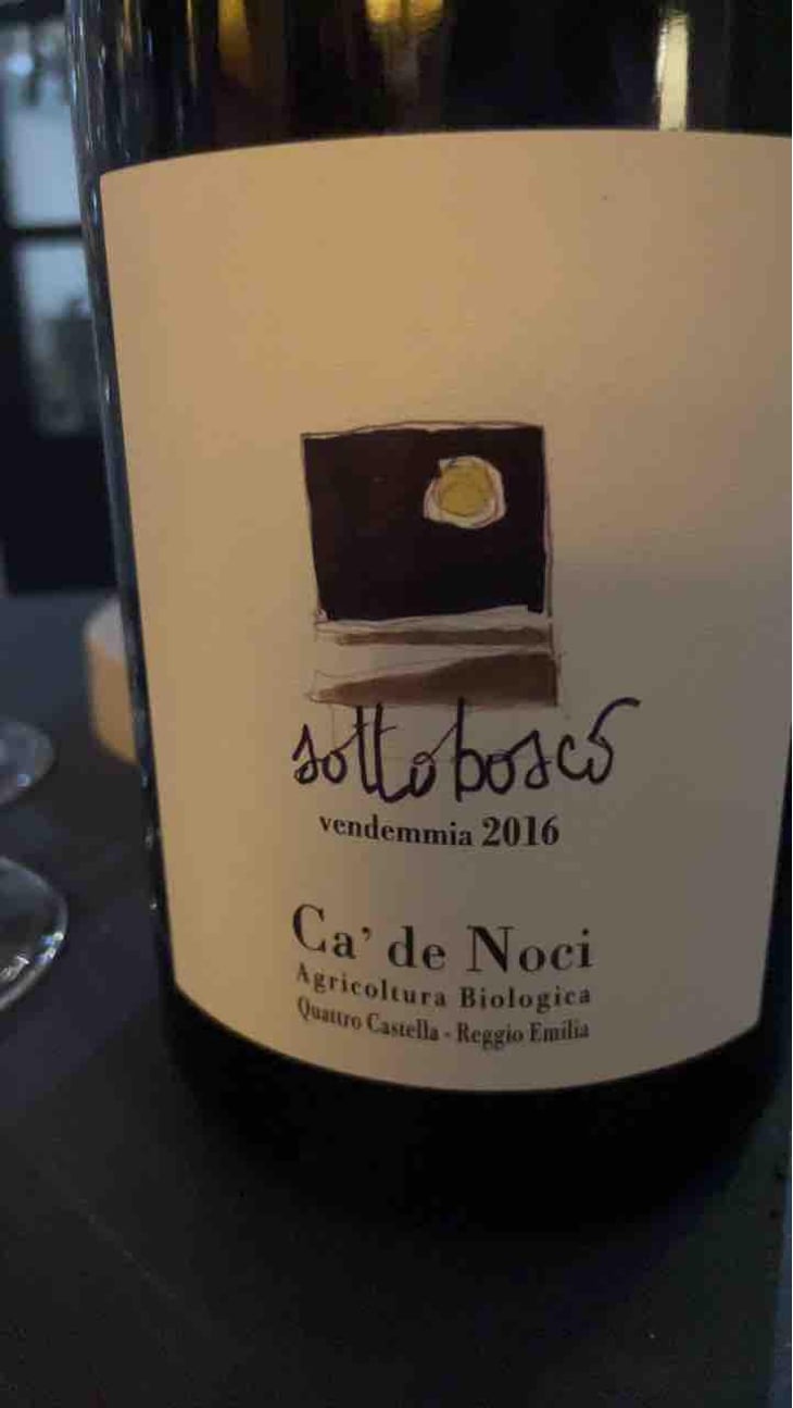 Sottobosco - Ca De Noci - Alberto & Giovanni Masini 