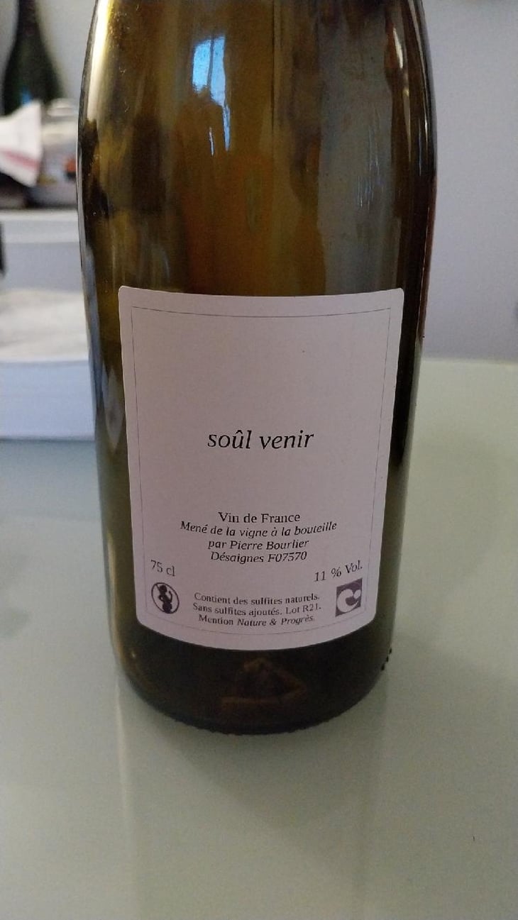 SOUL VENIR - Pierre Bourlier - Pierre Bourlier -2021