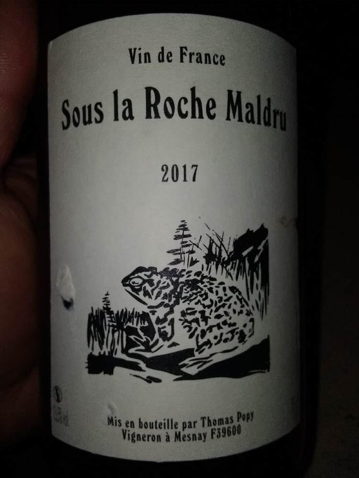 Sous la Roche Maldru - Savagnin - Thomas Popy - Thomas Popy 