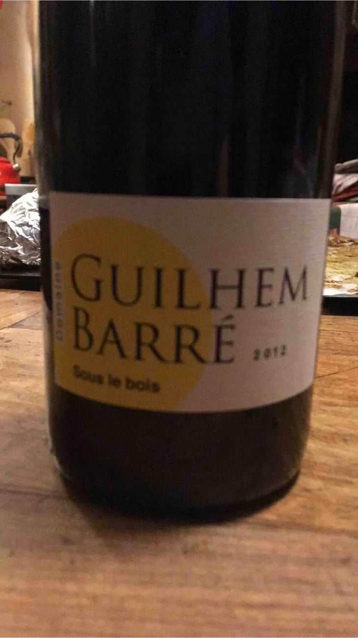 Sous Le Bois - Guilhem Barré - Guilhem Barré 