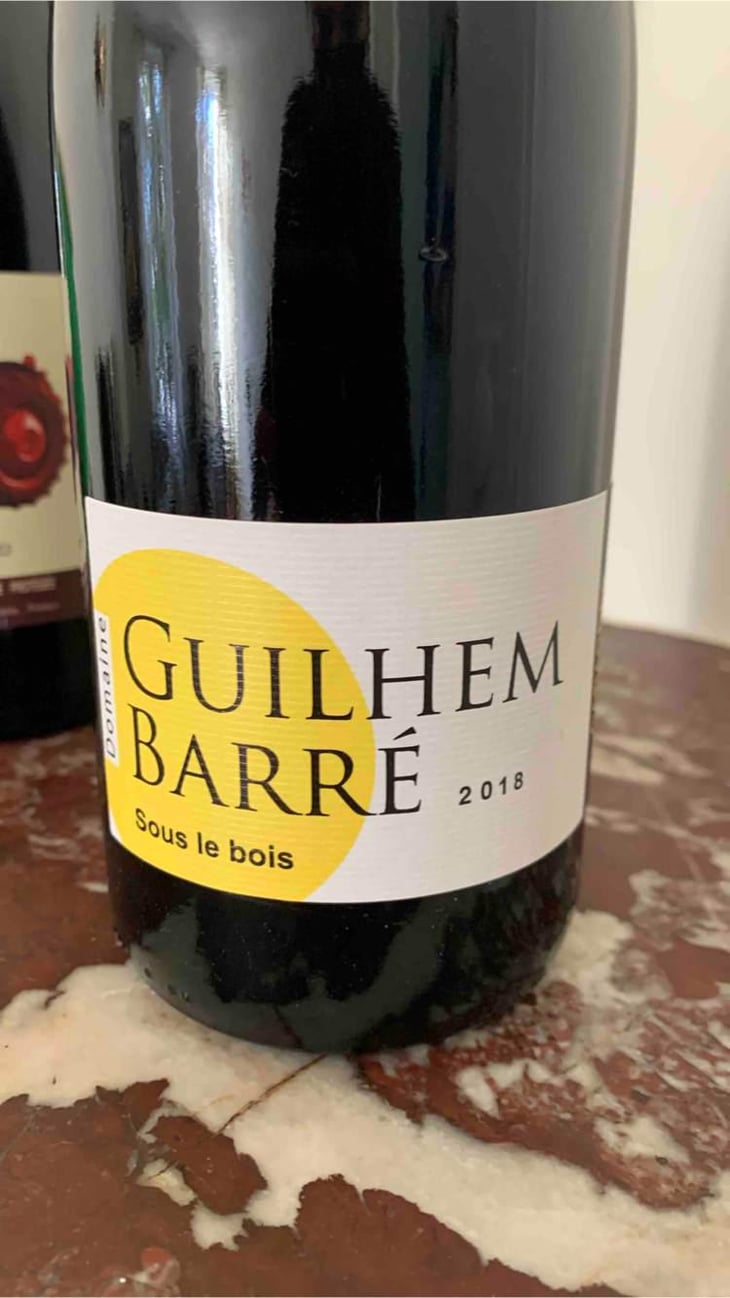 Sous Le Bois - Guilhem Barré - Guilhem Barré 