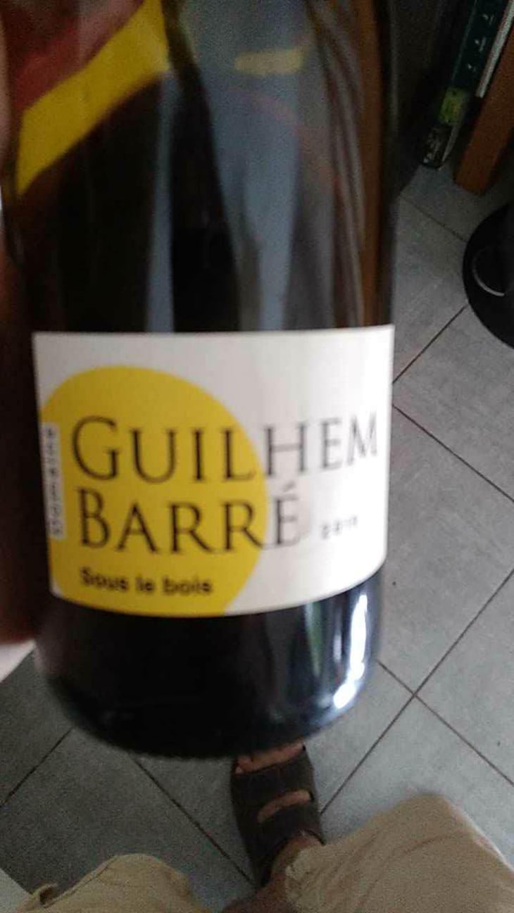 Sous Le Bois - Guilhem Barré - Guilhem Barré 
