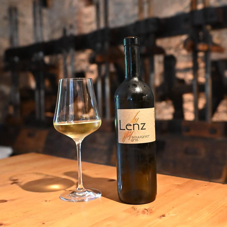 Souvignier Gris - Bioweingut Roland & Karin Lenz - Roland & Karin Lenz -2022