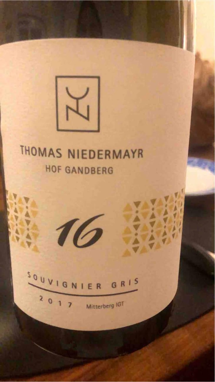 Souvignier Gris - Thomas Niedermayr – Hof Gandberg - Thomas Niedermayr 