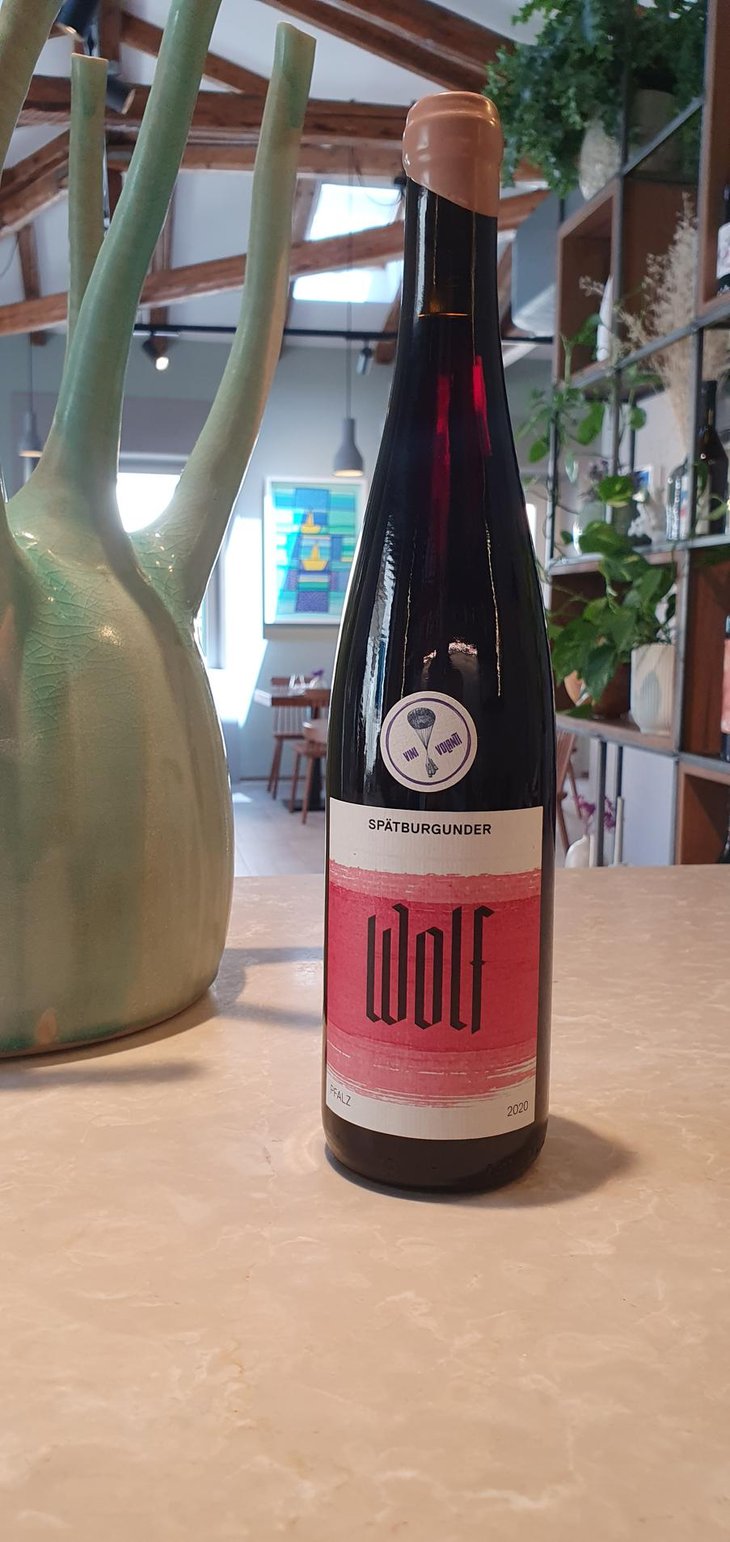 Spätburgunder - Weingut Wolf - Dennis Wolf 