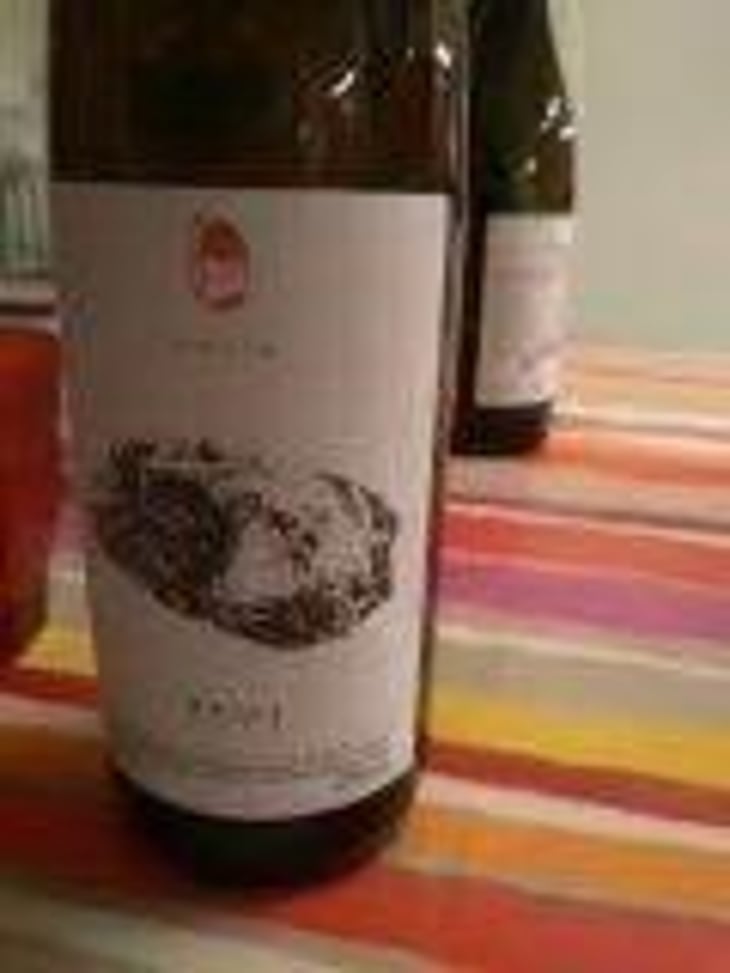 Konkret Weiss - Meinklang - Weingut Michlits - Angela & Werner Michlits 