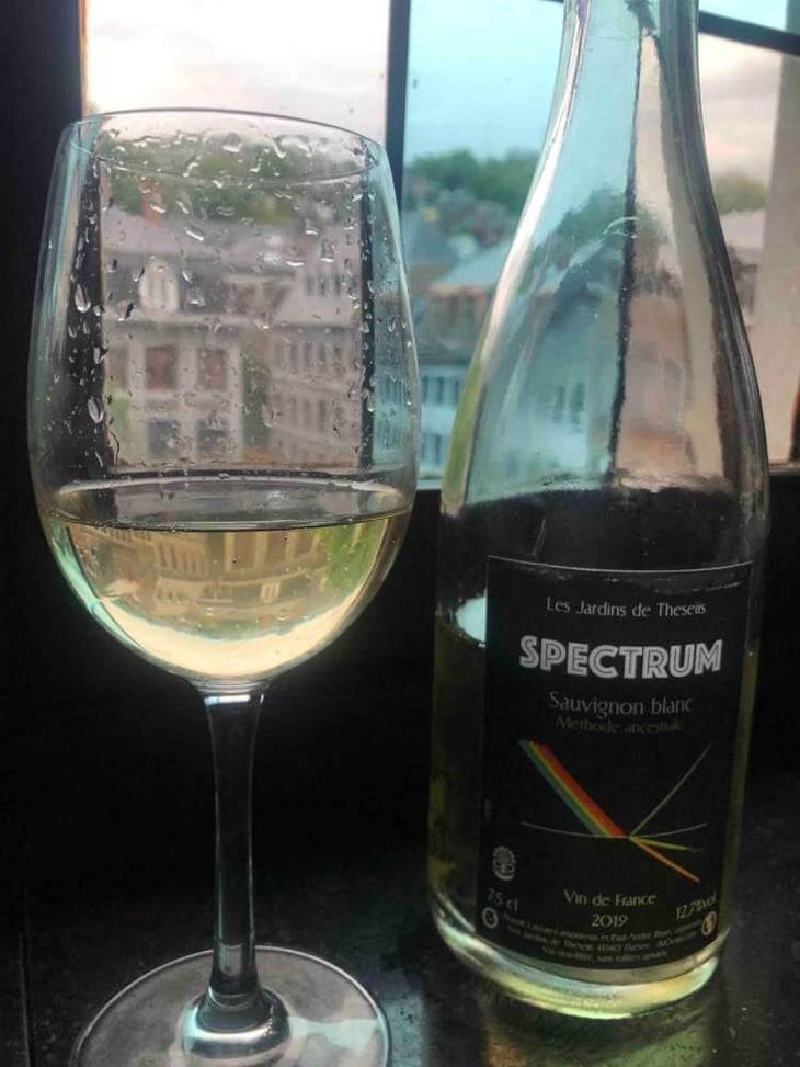Spectrum Sauvignon Blanc - Les Jardins de Theseiis - Paul-André Risse & Anouk Lavoie-Lamoureux 