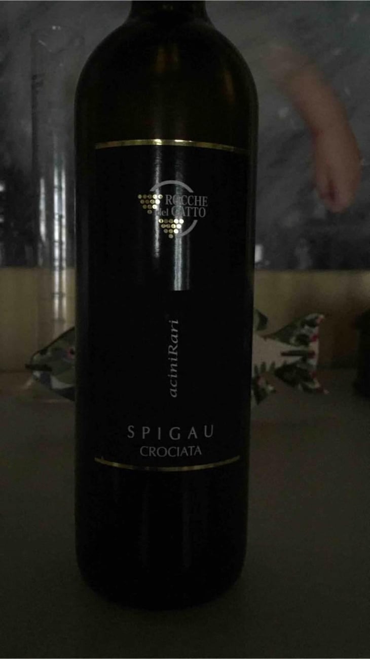 spigau - Le Rocche del Gatto - Fausto De Andreis 
