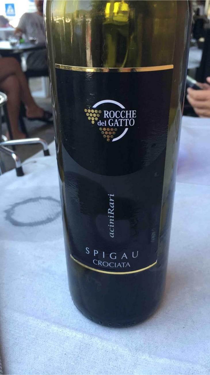 spigau - Le Rocche del Gatto - Fausto De Andreis 