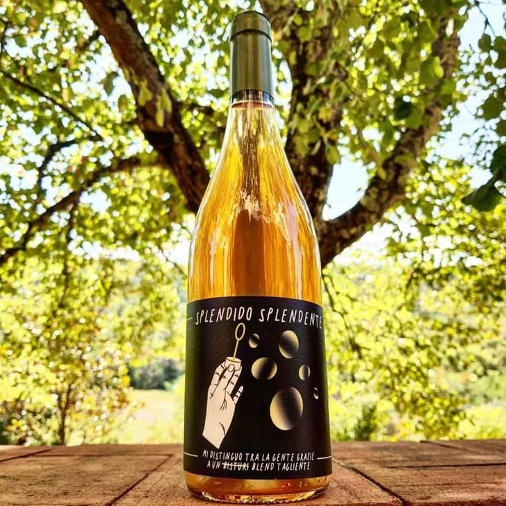 Splendido Splendente - Tenuta l'Armonia - Andrea Pendin 