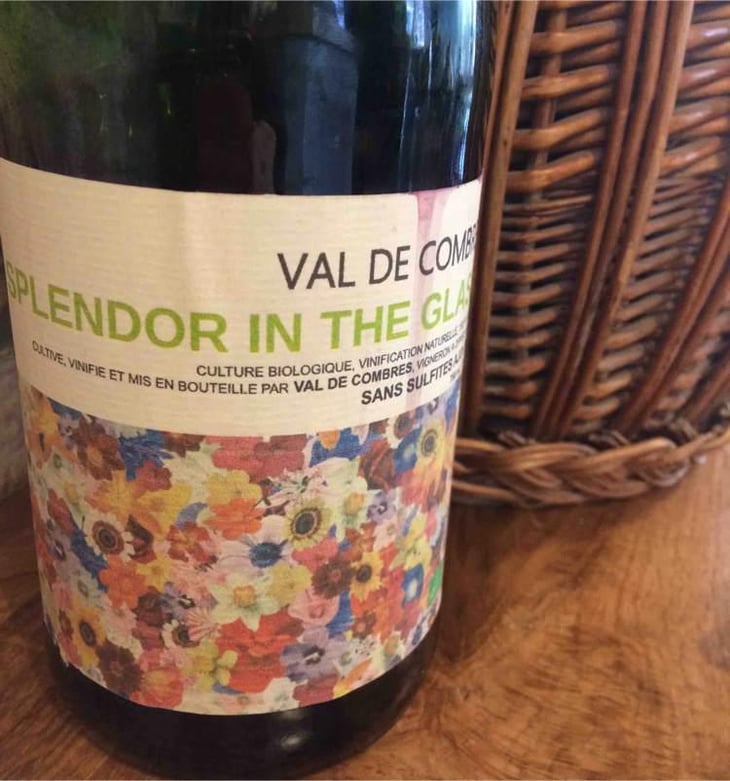 Splendor In The Glass - Val de Combrès - Valentin L. 