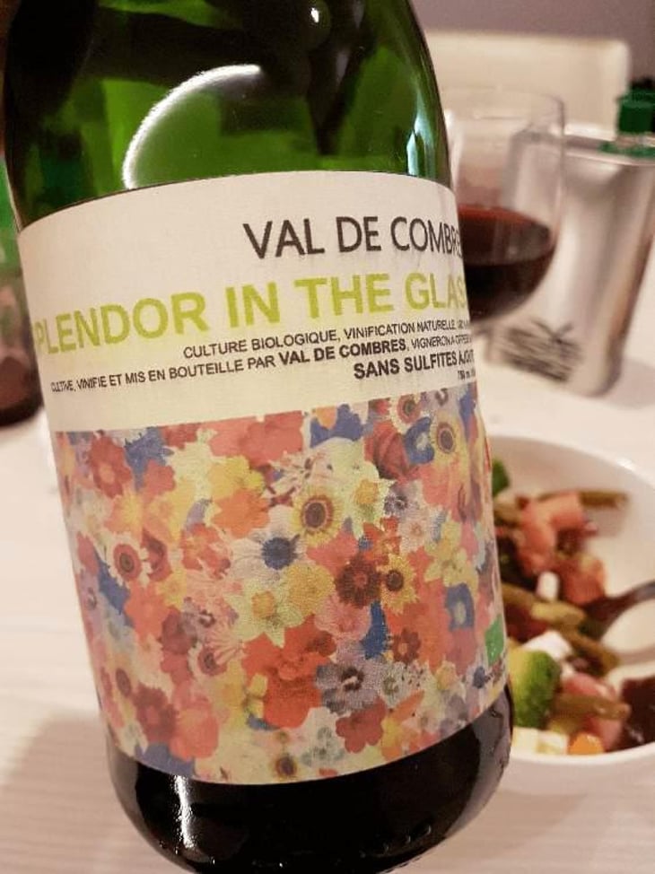 Splendor In The Glass - Val de Combrès - Valentin L. 